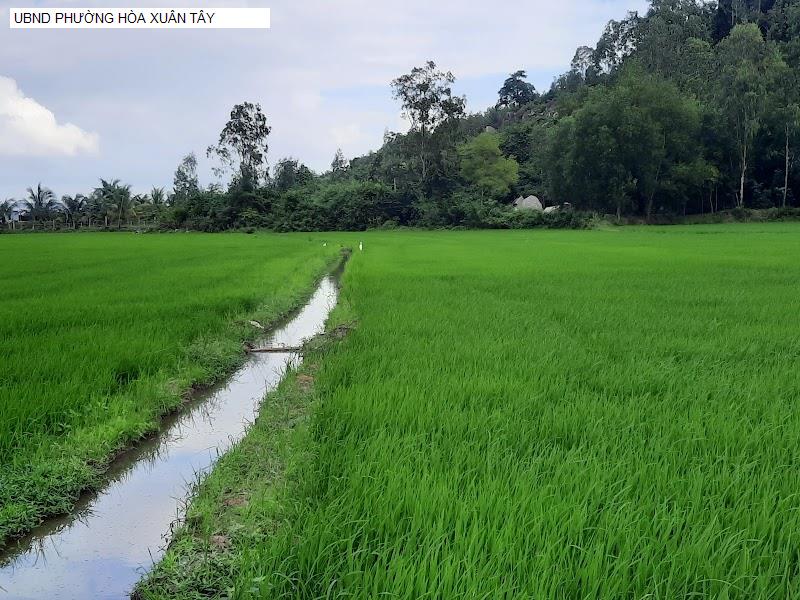 UBND PHƯỜNG HÒA XUÂN TÂY