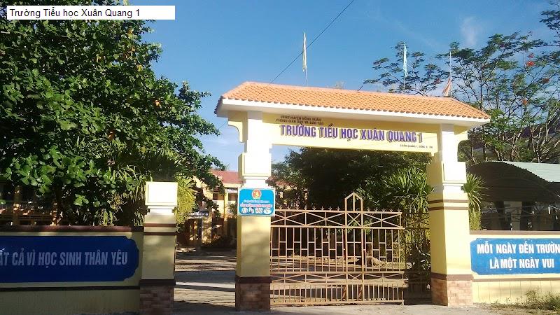 Trường Tiểu học Xuân Quang 1