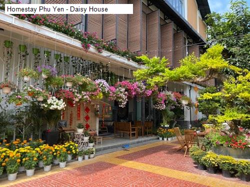 Chất lượng Homestay Phu Yen - Daisy House